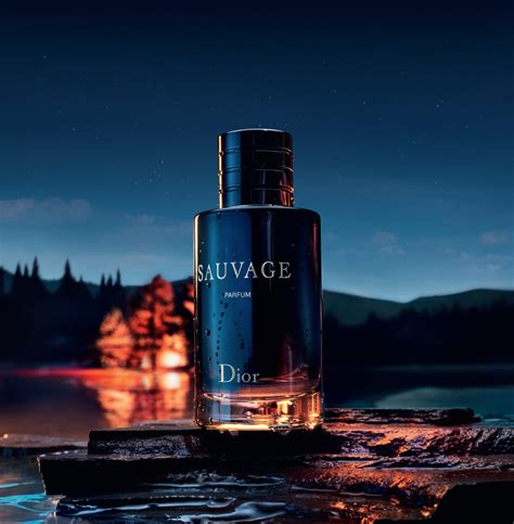 sauvage dior uomo douglas|Dior Sauvage cologne top notes.